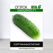 Насіння огірка Максимус F1, самозапильних, 100г